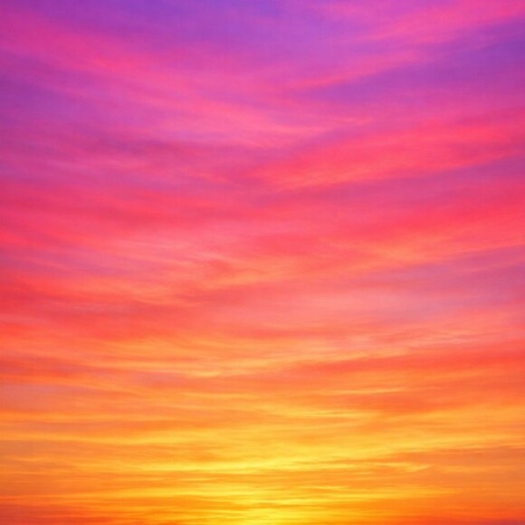 sunsetsparrow05